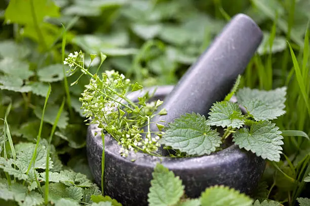 Is Marble Good for Mortar and Pestle?